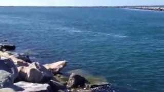 Striped Bass Fishing Hot Spot Short Wall Galilee Narragansett RI Excellent Striper Fishing Location [upl. by Christabelle]