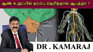 ஆண் உறுப்பில் நரம்பு தெரிந்தால் ஆபத்தா [upl. by Haney]