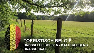 België  Brusselse Bossen  Kattekesberg  Brasschaat [upl. by Adnauq358]