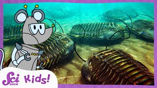 Mysterious Trilobites  The History of Life  SciShow Kids [upl. by Weingartner127]