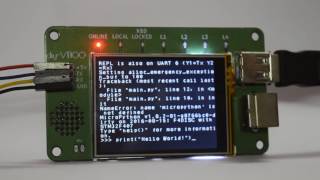 diyVT100 connected to MicroPython [upl. by Harragan]