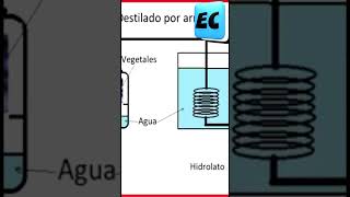 Destilado de aceites esenciales y hidrolatos tonicos aceitesesenciales [upl. by Nitsirt101]