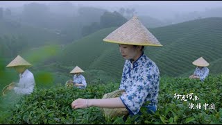 Cultural Heritage in Henan Xinyang Mao Jian tea [upl. by Catrina]