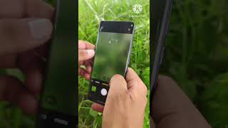 Oppo reno 12 5g camera testing pubgmobile [upl. by Katerine517]