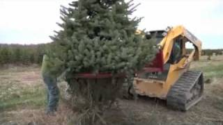 Tree Harvest at the Christmas Tree Farm [upl. by Amahcen]