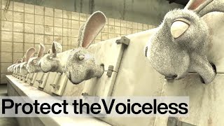 Bright Eyes End Cosmetics Testing on Animals NOW [upl. by Posehn]