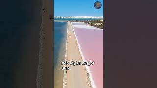 Amazing Pink waters of Lake Hillier Australia [upl. by Orapma571]