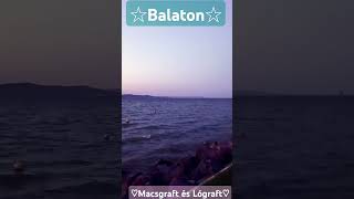 ☆Balaton☆  music song balaton chips catcute [upl. by Nortna]