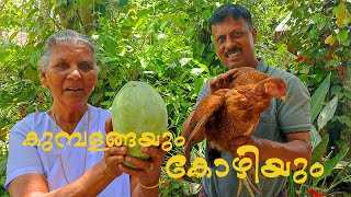 കുമ്പളങ്ങയും കോഴിയും KUMBALANGA CHICKEN  Special Chicken Curry Annammachedathi special [upl. by Llirpa]