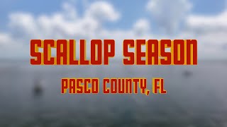 Scallop Season is open Pasco County FL  DJI droneview [upl. by Monte928]