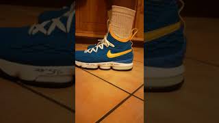 LeBron 15 Waffle Trainer SFG quotMan in the arenaquot On Foot Review [upl. by Nigem]