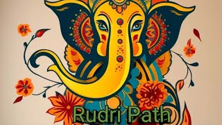 Rudri Path Adhyaya  Rudri  Vedic Mantra Vedic Education [upl. by Diba]