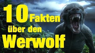 10 FAKTEN über den WERWOLF [upl. by Kravits]