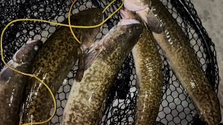 Fall Lower Lake Huron Burbot Fishing [upl. by Yellac]