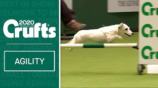 Agility  Championship Round 2  Small Agility  Crufts 2020 [upl. by Kinelski]