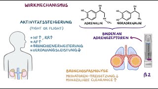 Medikamente im Rettungsdienst  Salbutamol [upl. by Aiz178]