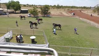 Cloncurry 20240914 Race 1 [upl. by Silvan]