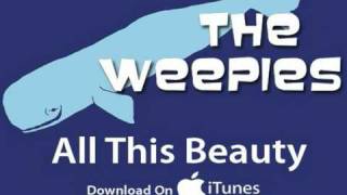 The Weepies  All This Beauty Audio [upl. by Hibbert]