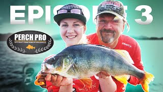 PERCH PRO 7  Episode 3 [upl. by Mariken692]