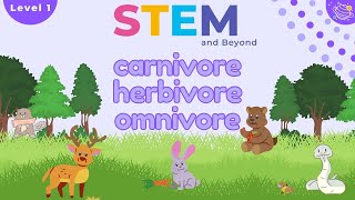 Animal Diets  KS1 Science for Kids  STEM Home Learning [upl. by Kira]