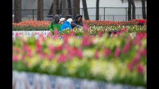 AZALEA FESTIVAL PARADE 2024 [upl. by Annoid218]