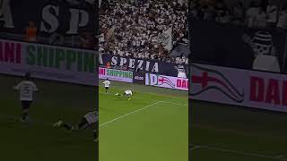 Il primo goal di Aurelio in maglia Spezia fa impazzire il Picco ⚪️⚫️ [upl. by Aimahc316]