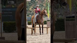 Working Equitation 🇵🇹 lusitano Obelix amp Beatriz Almeida 2024 Santarém horse equitation equity [upl. by Wakerly846]