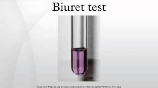 Biuret test [upl. by Ilzel541]