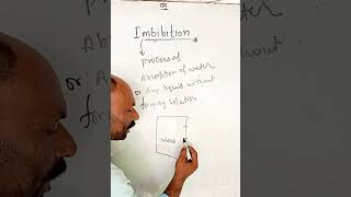 Imbibition by Manoj yadavelementarysciencevideoviralBiolgykaizen classes [upl. by Hodgkinson151]