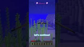 Minecraft But Im A Phantom [upl. by Finnigan]