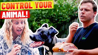 Lifeguards Try To Train A Dog How To Do Sht with Jeff amp Joel [upl. by Aihsened443]