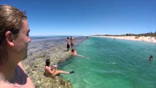 Lagoon Snorkelling Yanchep [upl. by Goeselt]