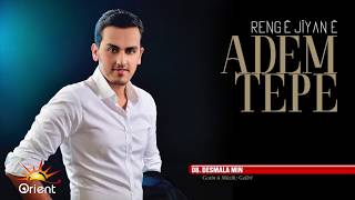 Adem Tepe  Desmala Min Official Audio [upl. by Leahcimdivad]