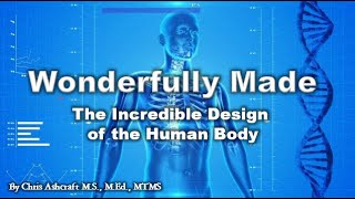 Wonderfully Made The Incredible Design of the Human Body [upl. by Nonaihr]