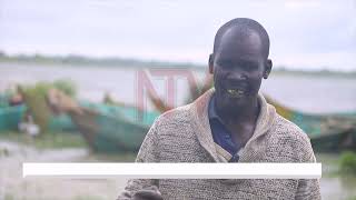 Experts worry about plastic pollution at River Nile [upl. by Mulford]