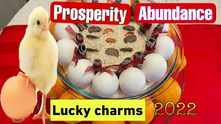 HOW TO MAKE A PROSPERITY BOWL FOR ABUNDANCE THIS NEW YEAR 2023I Marcy Green Vlog [upl. by Mortimer]