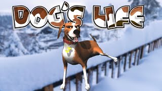 Dogs Life 10 PS2  I po Zimie [upl. by Cohbath374]