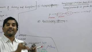 Biotype Ecotype ecophene ecological pyramids Prokaryote Vs Eukaryotic RNA Polymerase [upl. by Acysej]