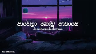 Pawela Kodu Akase පාවෙලා කෝඩු ආකාසෙ Lyrics  Samitha Mudunkotuwa [upl. by Barnaby]