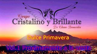 Grupo Cristalino y Brillante Volumen 1 Promo Mix 2014 [upl. by Ymeraj]