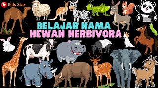 BELAJAR NAMA HEWAN PEMAKAN TUMBUHAN INDONESIA  INGGRIS  HERBIVORED ANIMALS NAME  HEWAN HERBIVORA [upl. by Anileuqcaj]