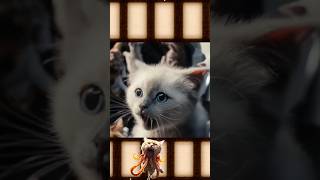 Put All Flerkens into a Spaceship Kittens Marvel CaptainMarvel [upl. by Kevyn]