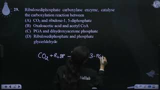 Ribulosediphosphate carboxylase enzyme catalyse the carboxylation reaction between [upl. by Peoples899]