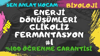 HÜCRESEL SOLUNUM KONU ANLATIMI 1  GLİKOLİZ KONU ANLATIMI  FERMANTASYON  PDF ✅ [upl. by Aitercul]