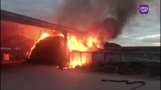 Brand in een stal bij een boerderij in ursem [upl. by Ahsiekel620]