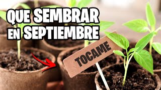 Que sembrar en SEPTIEMBRE 🌱 Calendario de Siembra 2024  La Huerta de Ivan [upl. by Kilmarx]