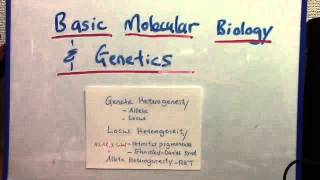 Genetic heterogeneity locus and allelic [upl. by Lindon]