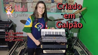 CRIADO EM GALPAO  Malu Gaiteira  Os Serranos  Cover [upl. by Nauqed17]