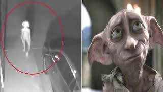 Sinister creature ‘like Harry Potter elf Dobby’ spotted on CCTV walking up woman’s driveway [upl. by Cherrita]