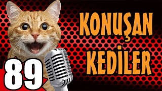 Konuşan Kediler 89  En Komik Kedi Videoları  PATİ TV [upl. by Siramay265]